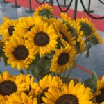 Sonnenblumen für unsere Neuen